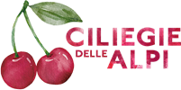 logo-ciliegie-delle-alpi-2z
