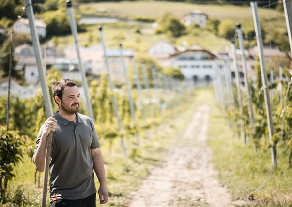 kirschen-der-alpen-obstbauer-patrick-foto-andergassen-1038